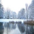 Zeesener Badestelle im Winter (tn_100_4010.jpg) Zeesner See im Landkreis Dahme Spreewald